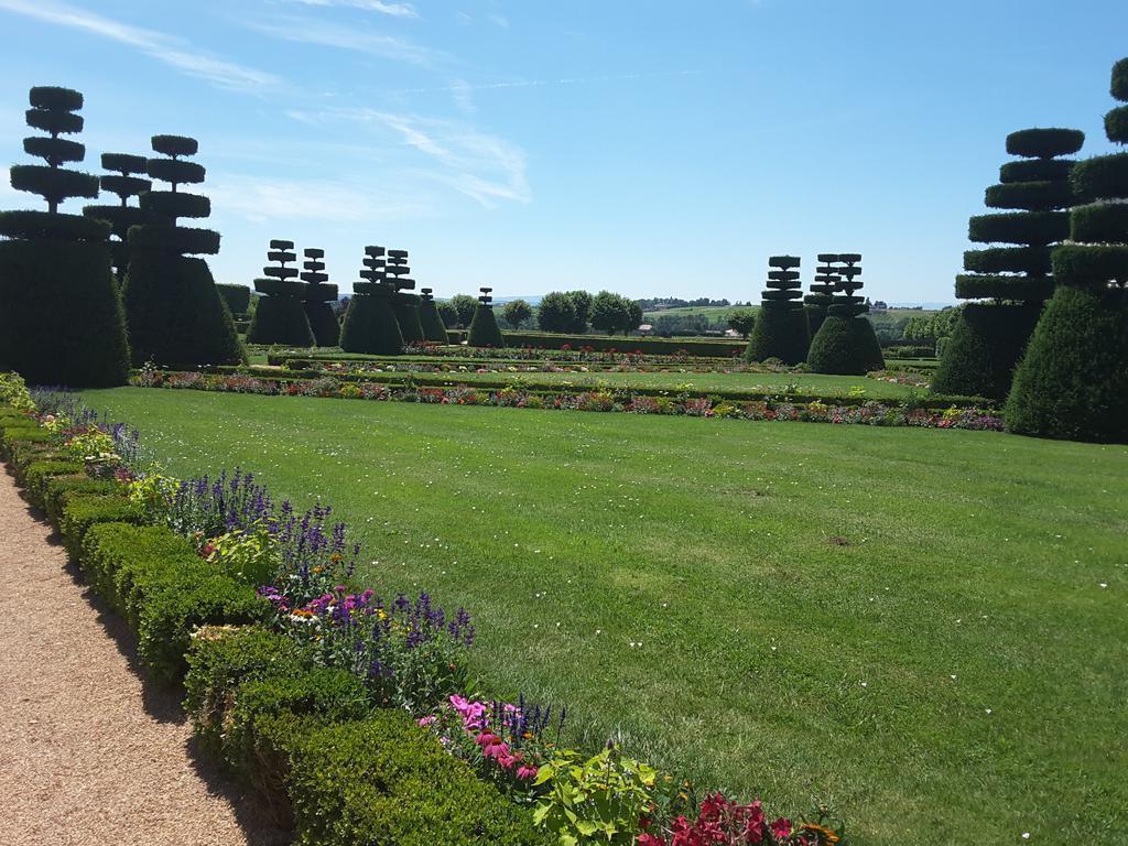 Chateau De Pizay Belleville-sur-Saône المظهر الخارجي الصورة