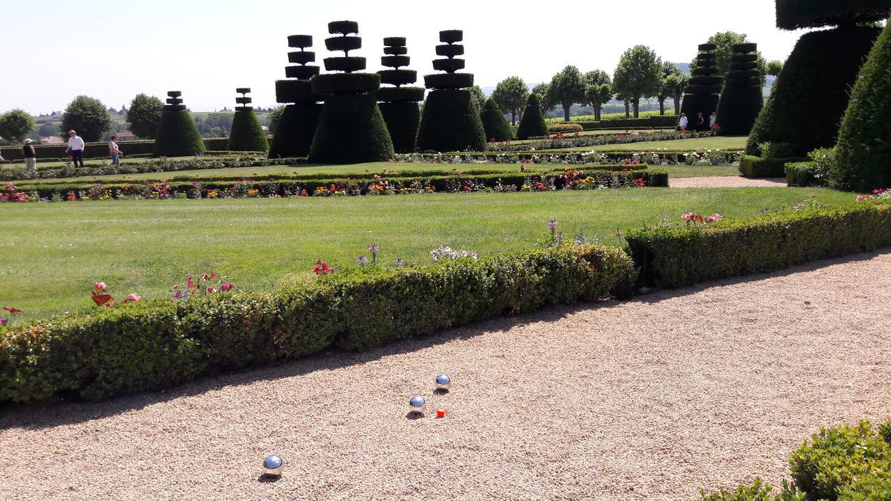 Chateau De Pizay Belleville-sur-Saône المظهر الخارجي الصورة