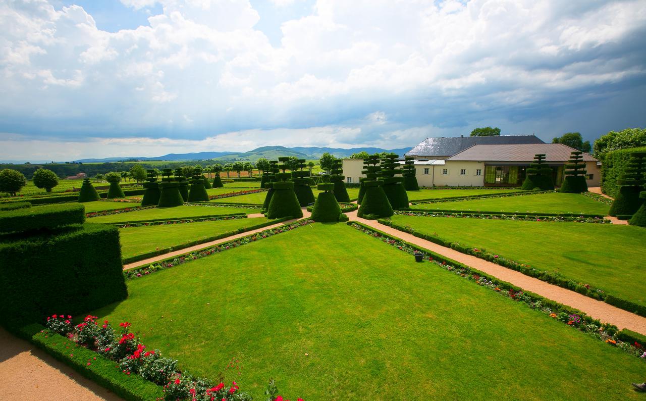 Chateau De Pizay Belleville-sur-Saône المظهر الخارجي الصورة