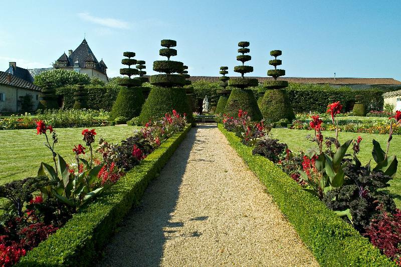 Chateau De Pizay Belleville-sur-Saône المظهر الخارجي الصورة